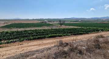 Venta Terreno El Raiguero