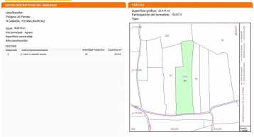 Venta Terreno Rústico en El Raiguero