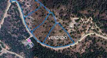 Venta 3 Parcelas Edificables en Los Aramillejos