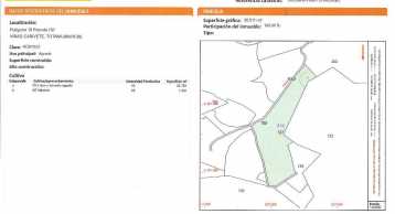 Venta Finca Rustica Edificable en Totana