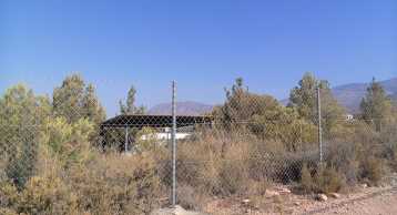 Venta Finca (Aledo) + Caseta Aperos