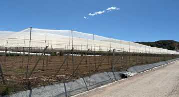 Venta Parcela en Los Secanos Totana